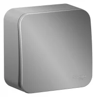 Выключатель 1-кл. ОП Blanca 10А IP20 (сх. 1) с самовозвратом с изолир. пластиной алюм. SE BLNCA101013