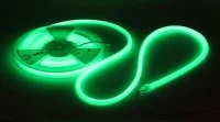 Лента светодиодная LS2835-9.6-120-24-G-IP68-5м 24В термостойкая для бани зел. (в комплекте: 2 заглушки; 10 крепежей)(уп.5м) Эра Б0062354