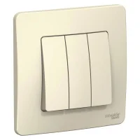 Выключатель 3-кл. СП Blanca 10А IP20 (сх. 1+1+1) 250В молочн. SE BLNVS100502
