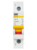 IEK 