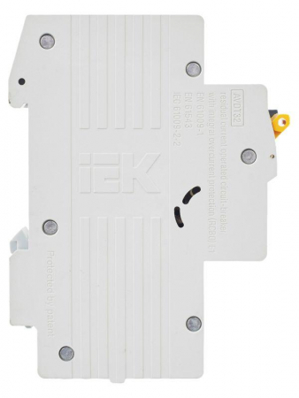IEK 