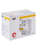 IEK 