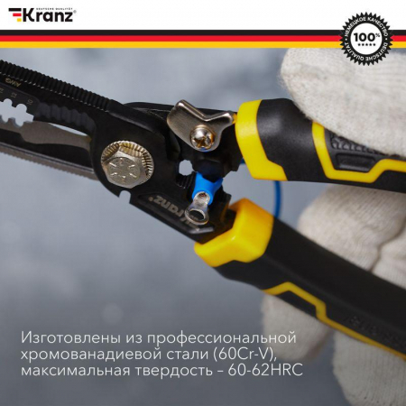 Kranz 