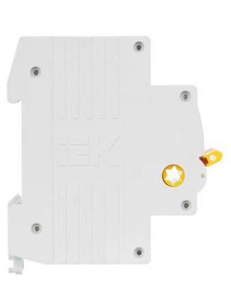 IEK 