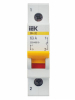 IEK 