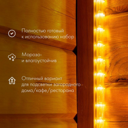 Neon-Night 