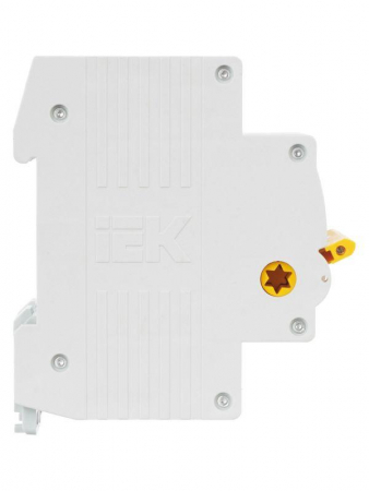 IEK 