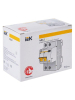 IEK 